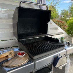 weber genesis bbq brekkense wiel 4 lemmer weber genesis bbq brekkense wiel 4 lemmer